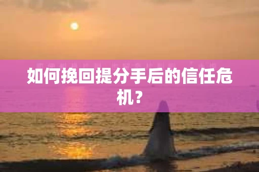 如何挽回提分手后的信任危机？