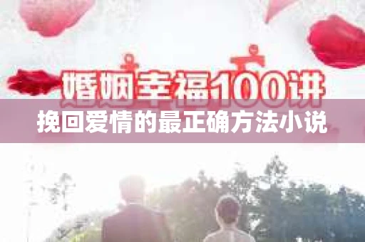 挽回爱情的最正确方法小说