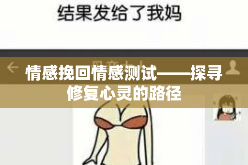 情感挽回情感测试——探寻修复心灵的路径