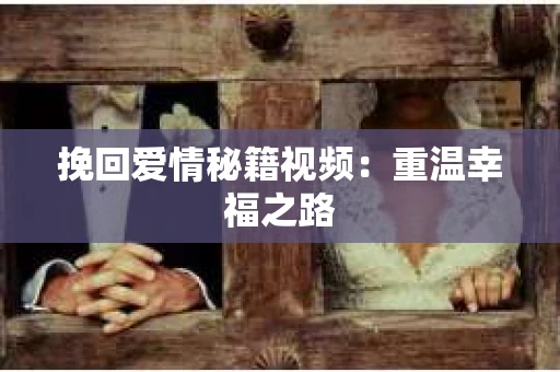 挽回爱情秘籍视频：重温幸福之路