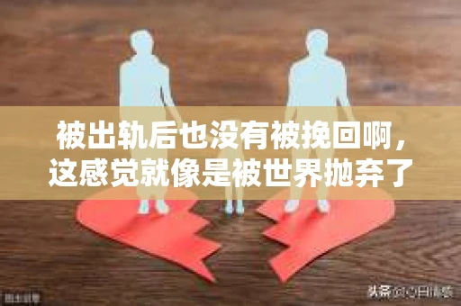 被出轨后也没有被挽回啊，这感觉就像是被世界抛弃了一样。我曾经也经历过这样的事情，那种心如刀割的痛，至今仍记忆犹新。今天，我想和大家聊聊这个话题，希望能给那些正在经历或者曾经经历过类似痛苦的人一些安慰和帮助。