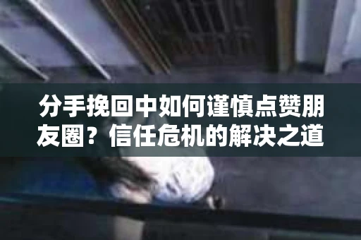分手挽回中如何谨慎点赞朋友圈?信任危机的解决之道 分手挽回中如何谨慎点赞朋友圈?信任危机的解决之道