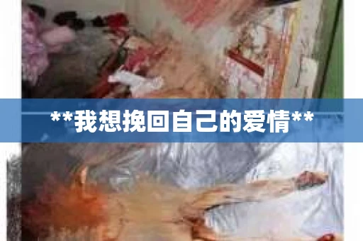**我想挽回自己的爱情**