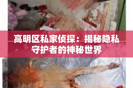 高明区私家侦探：揭秘隐私守护者的神秘世界