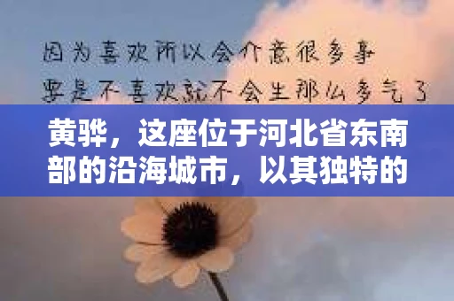 黄骅，这座位于河北省东南部的沿海城市，以其独特的地理位置和丰富的历史文化而闻名。然而，在这座城市中，还有一群人，他们以另一种方式默默守护着社会的公平与正义——私家侦探。今天，我们就来聊聊黄骅的私家侦探，看看他们是如何在这个城市中发挥作用的。