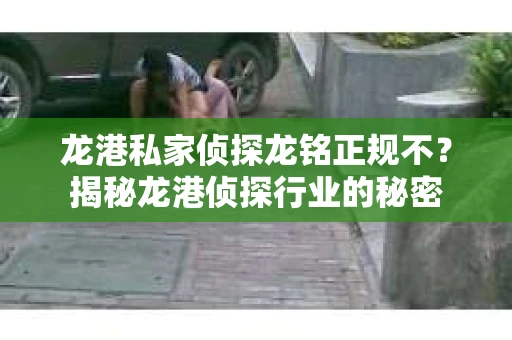 龙港私家侦探龙铭正规不？揭秘龙港侦探行业的秘密