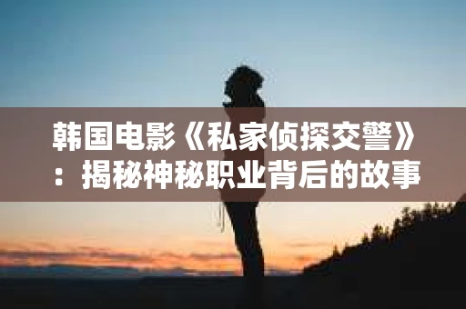 韩国电影《私家侦探交警》：揭秘神秘职业背后的故事