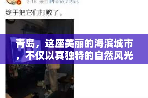 青岛，这座美丽的海滨城市，不仅以其独特的自然风光著称，更以其发达的经济和便捷的交通吸引了众多企业和个人。然而，随着商业活动的日益频繁，债务问题也日益凸显。这时，青岛专业催收公司的出现，无疑为解决债务问题提供了一种高效、合法的途径。