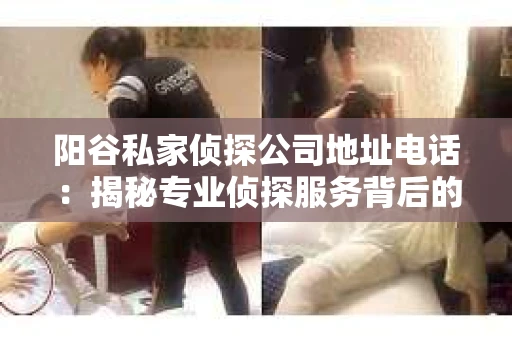 阳谷私家侦探公司地址电话：揭秘专业侦探服务背后的故事