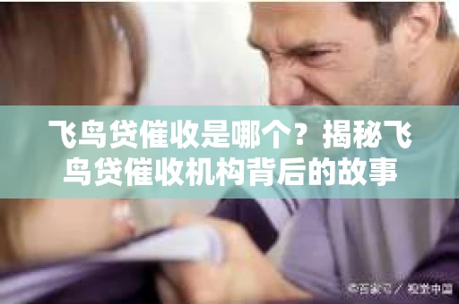 飞鸟贷催收是哪个？揭秘飞鸟贷催收机构背后的故事