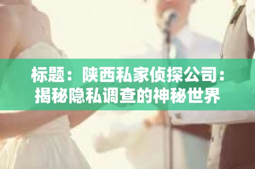 标题：陕西私家侦探公司：揭秘隐私调查的神秘世界