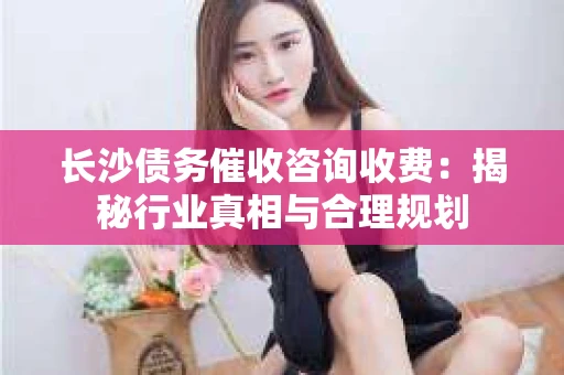 长沙债务催收咨询收费：揭秘行业真相与合理规划