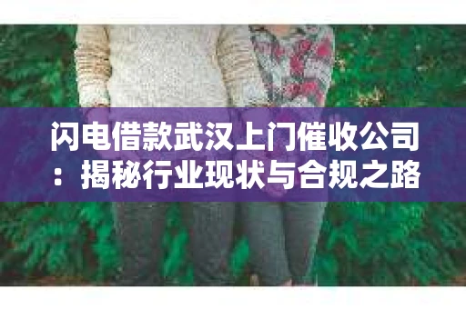 闪电借款武汉上门催收公司：揭秘行业现状与合规之路