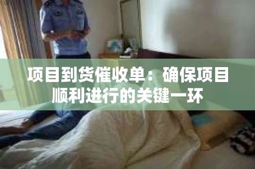 项目到货催收单：确保项目顺利进行的关键一环