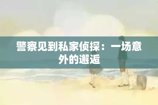 警察见到私家侦探：一场意外的邂逅