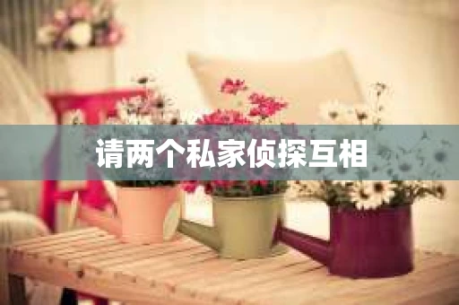 请两个私家侦探互相