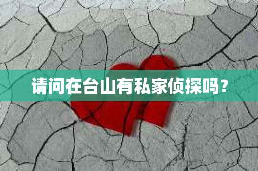 请问在台山有私家侦探吗？