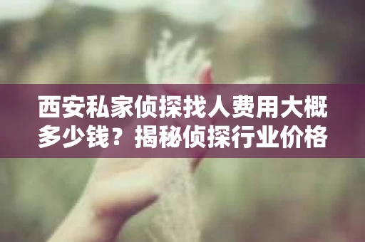 西安私家侦探找人费用大概多少钱？揭秘侦探行业价格之谜