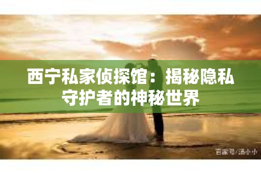 西宁私家侦探馆：揭秘隐私守护者的神秘世界