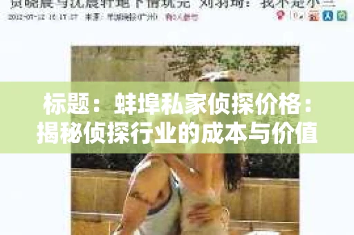 标题：蚌埠私家侦探价格：揭秘侦探行业的成本与价值