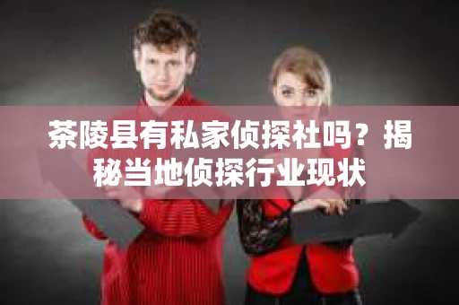 茶陵县有私家侦探社吗？揭秘当地侦探行业现状