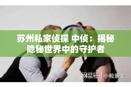 苏州私家侦探 中侦：揭秘隐秘世界中的守护者