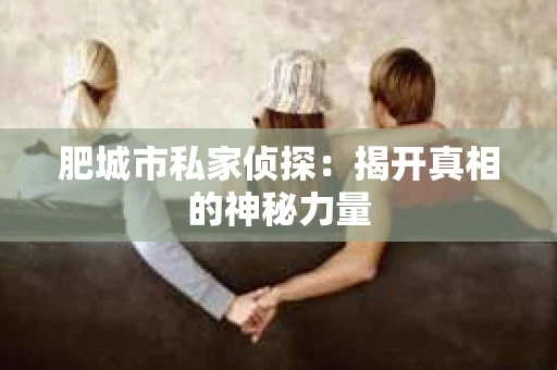 肥城市私家侦探：揭开真相的神秘力量