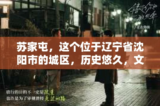 苏家屯，这个位于辽宁省沈阳市的城区，历史悠久，文化底蕴深厚。近年来，随着社会的发展，人们对于私家侦探的需求也逐渐增加。那么，苏家屯有私家侦探吗？今天，我们就来聊聊这个话题。