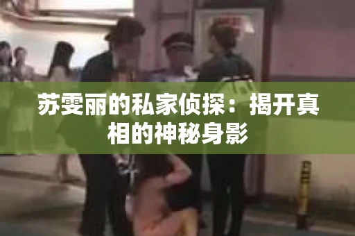 苏雯丽的私家侦探：揭开真相的神秘身影