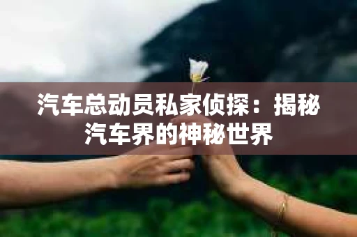 汽车总动员私家侦探：揭秘汽车界的神秘世界
