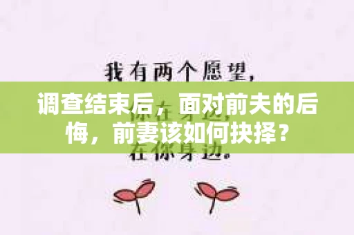 调查结束后，面对前夫的后悔，前妻该如何抉择？