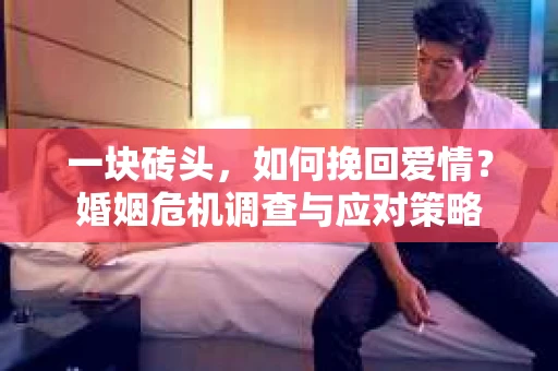 一块砖头，如何挽回爱情？婚姻危机调查与应对策略
