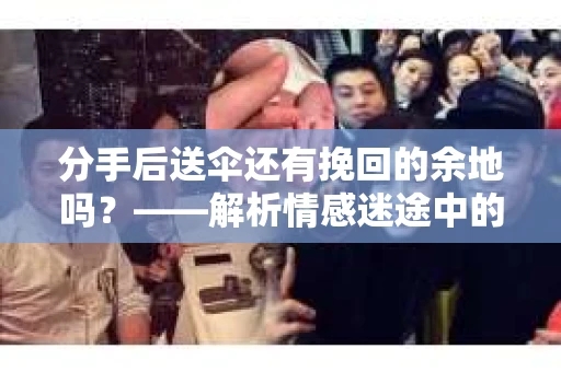 分手后送伞还有挽回的余地吗？——解析情感迷途中的决策