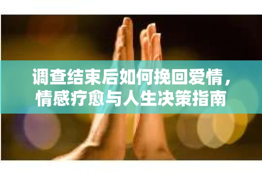 调查结束后如何挽回爱情，情感疗愈与人生决策指南