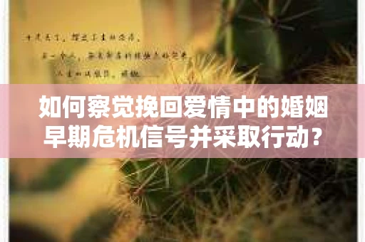 如何察觉挽回爱情中的婚姻早期危机信号并采取行动？