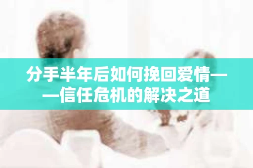 分手半年后如何挽回爱情——信任危机的解决之道