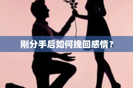刚分手后如何挽回感情？